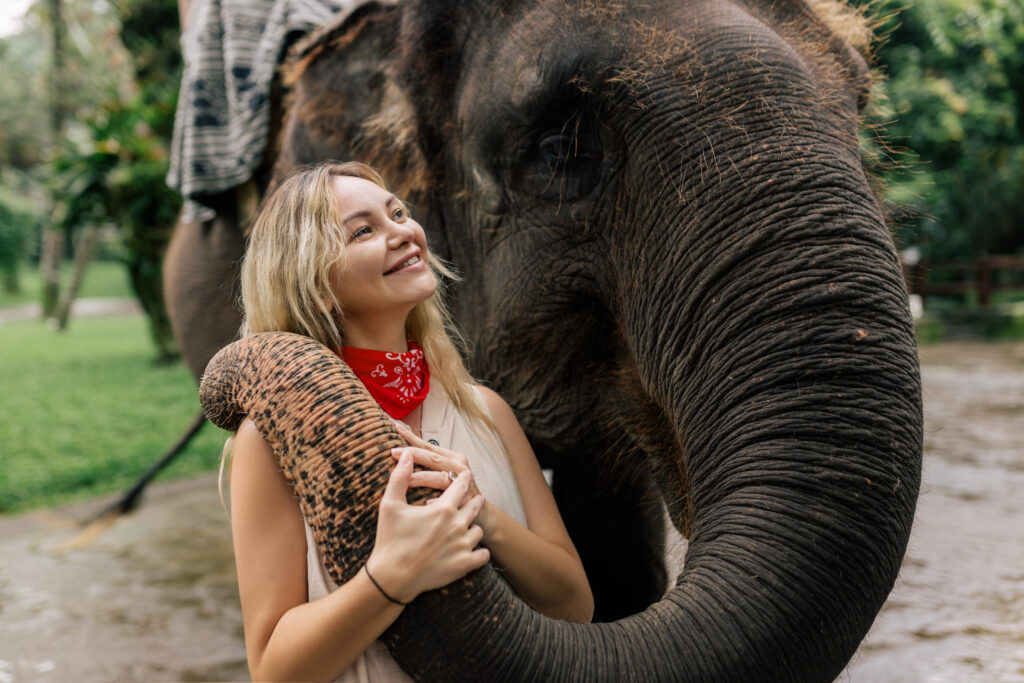 Helicopter safari South Africa elephant encounter and scenic flight