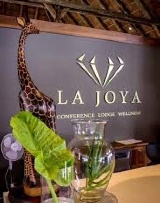 Zip line adventure tour canopy flight La Joya Lodge helicopter package