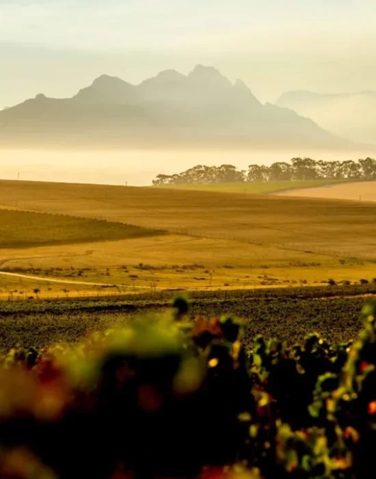 Meerendal_farm_IMG-1-1024x681