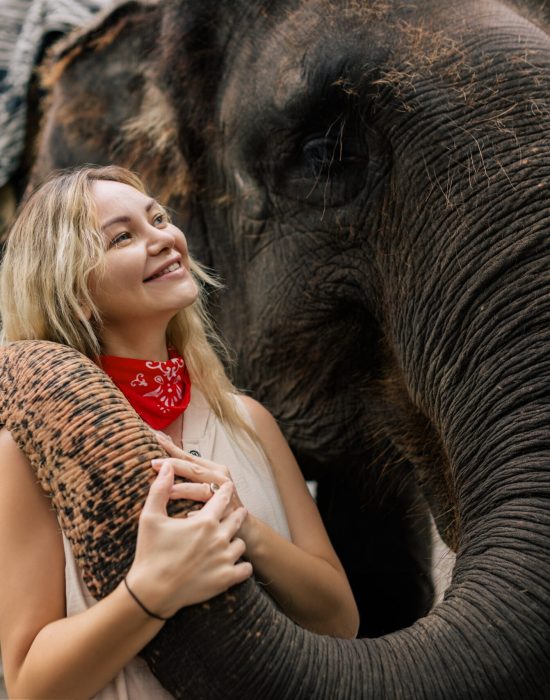 Helicopter safari South Africa elephant encounter and scenic flight