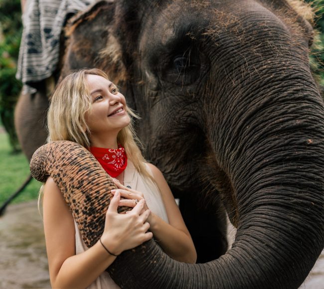 Helicopter safari South Africa elephant encounter and scenic flight