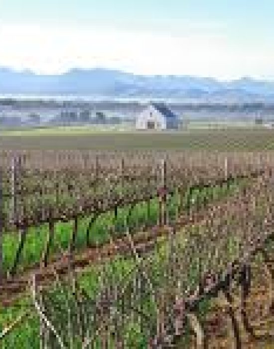 winelands